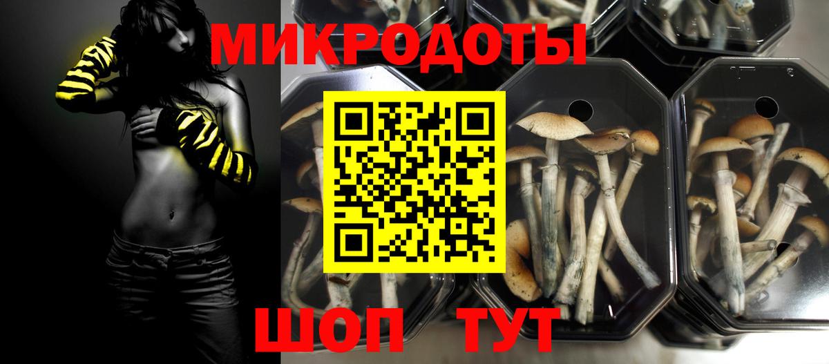 Псилоцибиновые грибы MAGIC MUSHROOMS  Вход с VPN  Мыски 