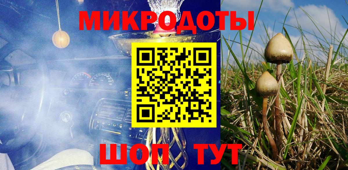 Псилоцибиновые грибы мухоморы Мыски